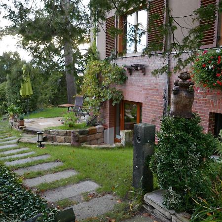 Ferienwohnung Dresden-Pillnitz - Elbhang-Villa - "Am Zuckerhut" 외부 사진