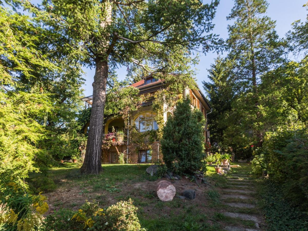 Ferienwohnung Dresden-Pillnitz - Elbhang-Villa - "Am Zuckerhut" 외부 사진