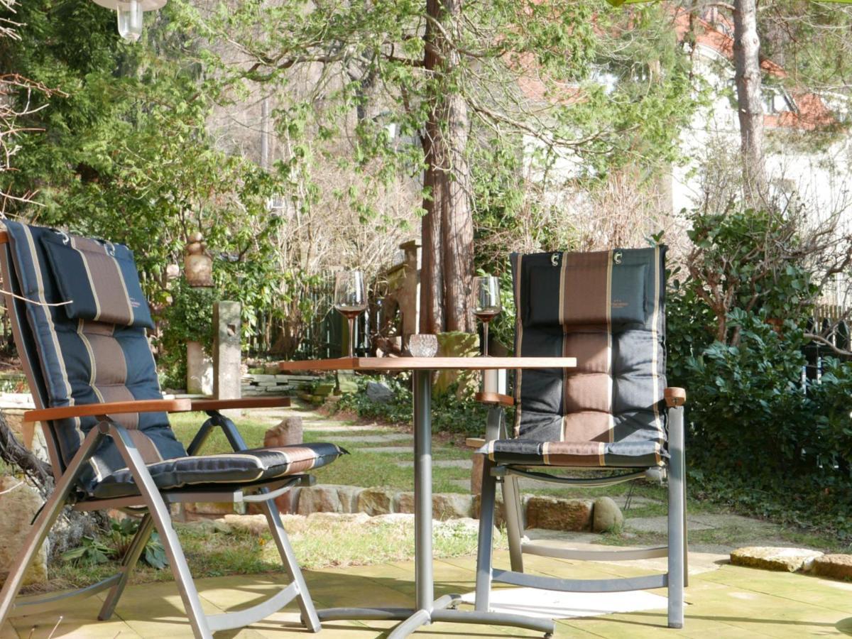 Ferienwohnung Dresden-Pillnitz - Elbhang-Villa - "Am Zuckerhut" 외부 사진